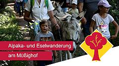 Alpaka- und Eselwanderung der DJK am Müßighof bei Absberg. Foto: Johannes Heim/pde